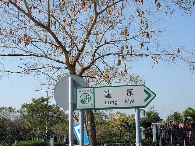 TaiMeiTuk LungMeiVillage Sign: 龍尾村路牌