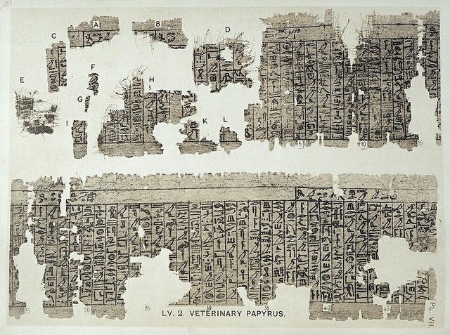 F.L. Griffith, Hieratic papyri from Kahun and Gurob.: Veterinary papyrus, LV.2. General Collections Keywords: gurob; hieratic papyri; kahun; petrie papyri; veterinary papyrus; Fran