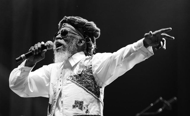 Bunny Wailer: BunnyWailer-Istandpredominate