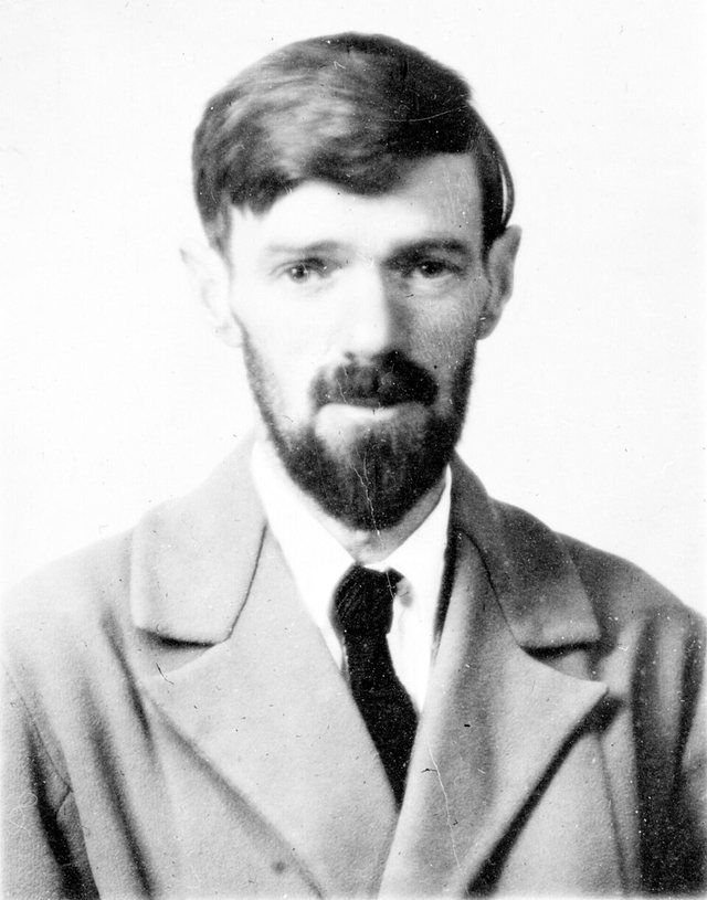 D. H. Lawrence: D H Lawrence passport photograph