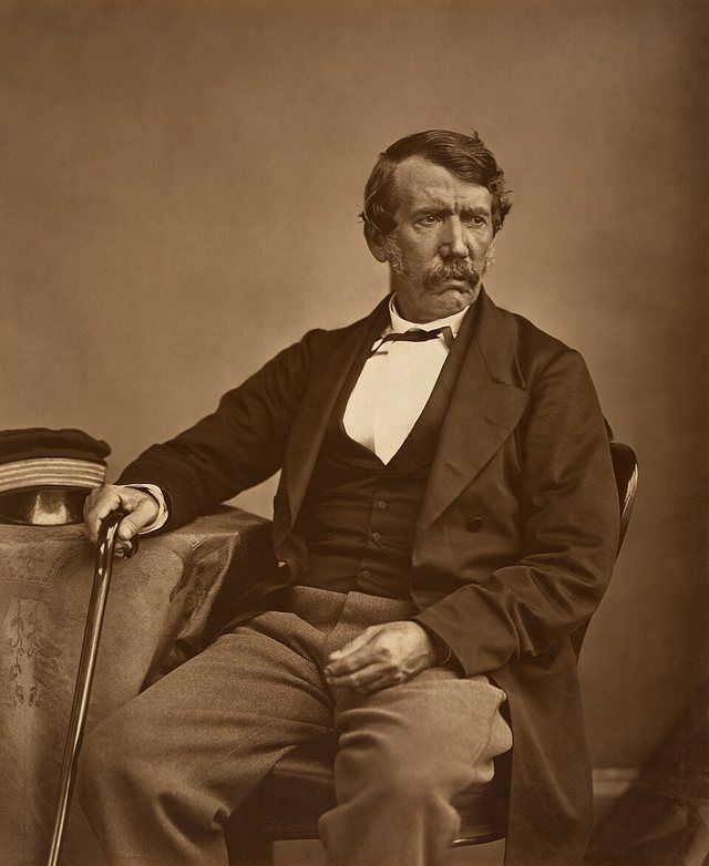 David Livingstone: David Livingstone by Thomas Annan