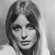 Sharon Tate