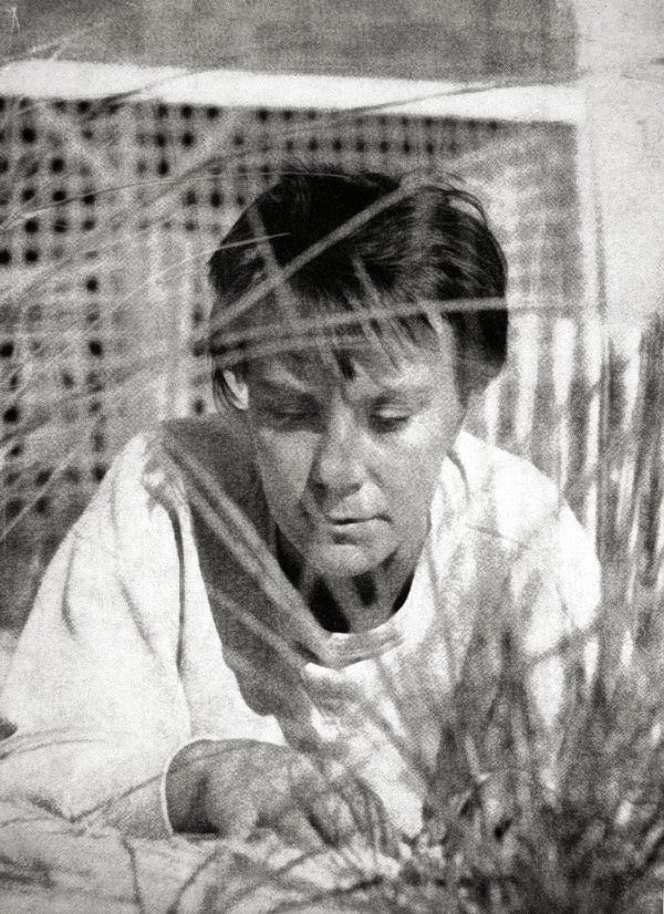 Harper Lee: Photo portrait of Harper Lee (To Kill a Mockingbird dust jacket, 1960)