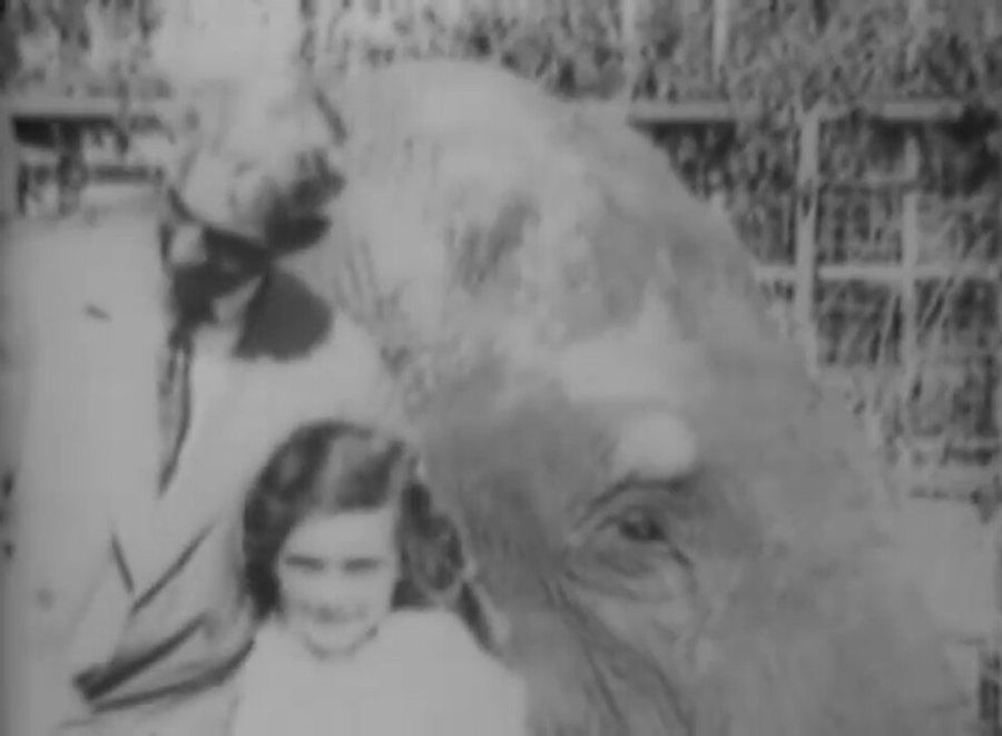 Henry Ford and Charlie the Elephant at Universal City 1916 02