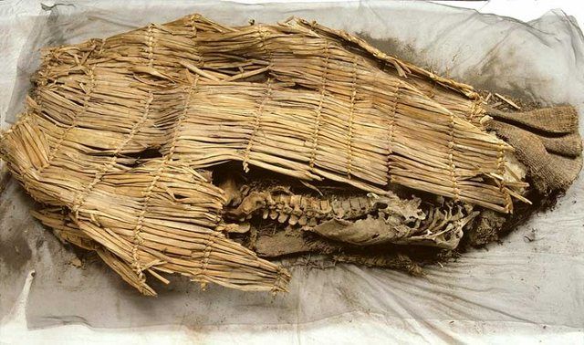 Spirit Cave Mummy: Remains of the Spirit Cave mummy still in the wrapping and cloth it was buried in. Spirit Cave is located in Fallon, Nevada. Discovered in 1940. This image was p