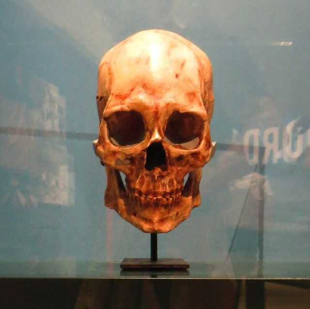 Kennewick Man: Fossil - Took the picture at Natural History Museum, Karlsruhe