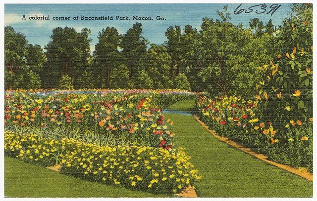 A colorful corner of Baconsfield Park, Macon, Ga. (8367054949): File name: 06_10_014111 Title: A colorful corner of Baconsfield Park, Macon, Ga. Date issued: 1930 - 1945 (approxima