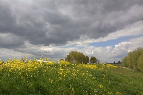 De Lekdijk bij Hagestein dicht bij de stuw: Koolzaadtijd, dan is het zeker mooi op de Lekdijk in Hagestein niet ver van de stuw en het begin van de mooie Hoeveweg en ook niet ver v
