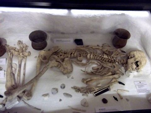 Amesbury Archer - Salisbury and South Wiltshire Museum: The Amesbury Archer. An early Bronze Age man whose grave was discovered during excavations at the site of a new housing deve