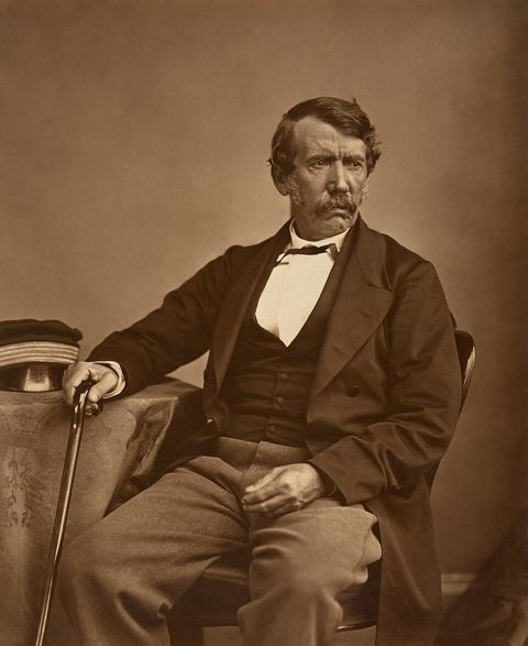David Livingstone: David Livingstone by Thomas Annan