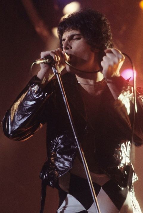 Freddie Mercury: Freddie Mercury performing in New Haven, CT, November 1977