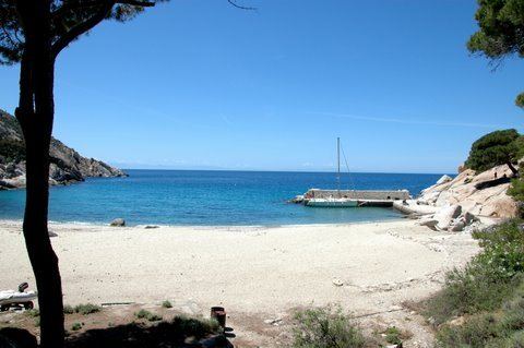 Montecristo-80: isola di Montecristo - Autore: Ambrogio Volpi