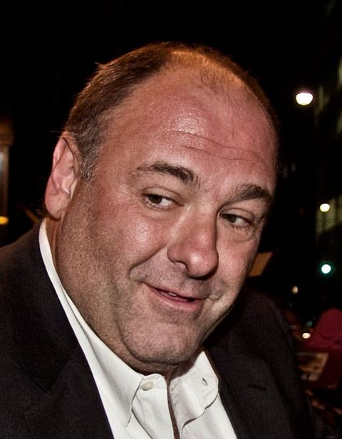 James Gandolfini: James Gandolfini @ Toronto International Film Festival 2011