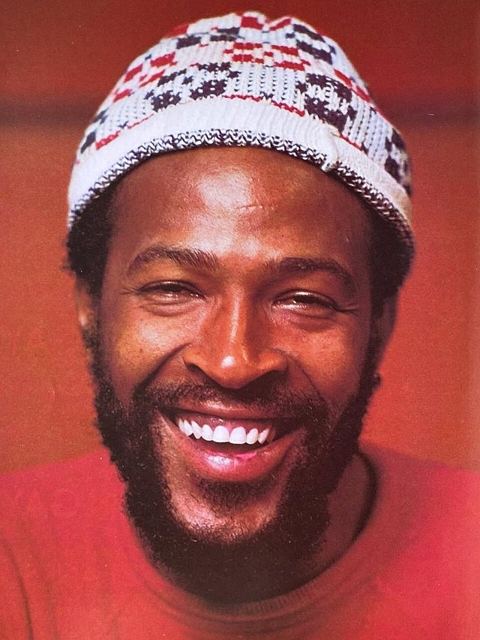 Marvin Gaye: Marvin Gaye in 1973