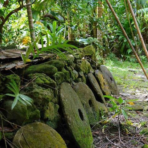 Ancient Yapese stone money: Monnaies de pierre alignées contre un mur de pierre sèche, municipalité de Rull, Îles Yap