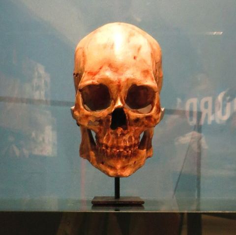Kennewick Man: Fossil - Took the picture at Natural History Museum, Karlsruhe