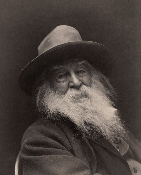 Walt Whitman: Walt Whitman - George Collins Cox
